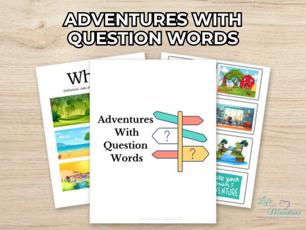 Adventures With Question Words printable from Life in the Mundane