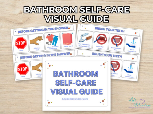 Bathroom Self-Care Visual Guide printable from Life in the Mundane