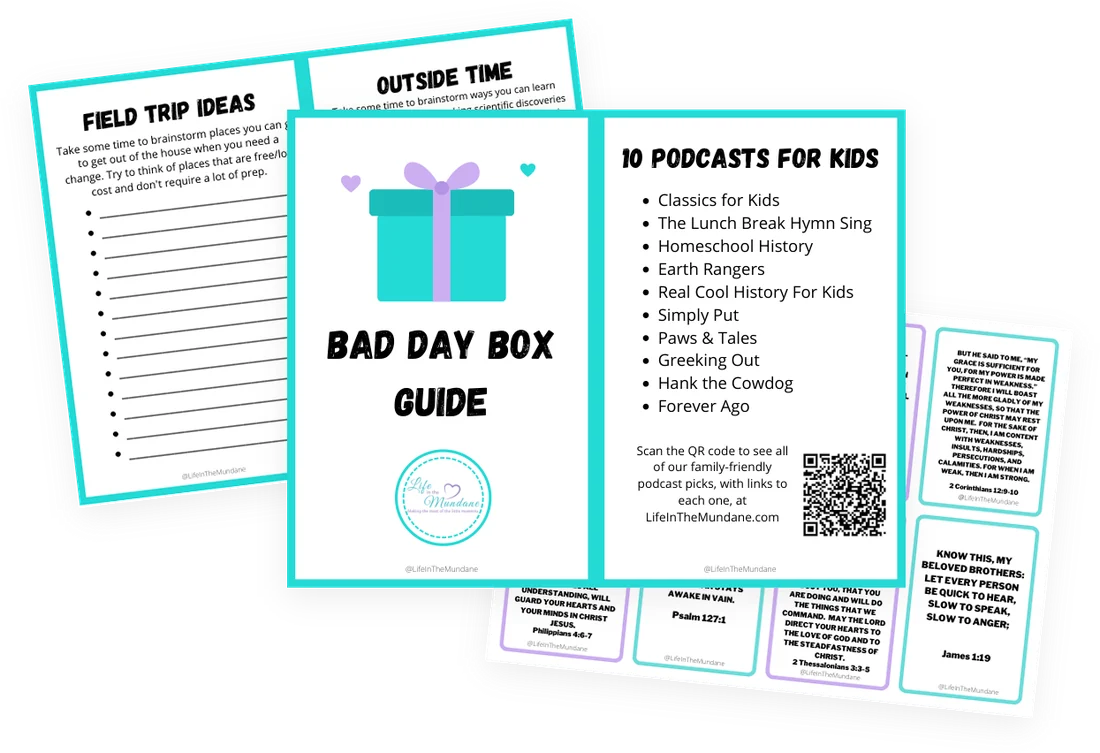 Pages from the Bad Day Box Guide and encouragement cards