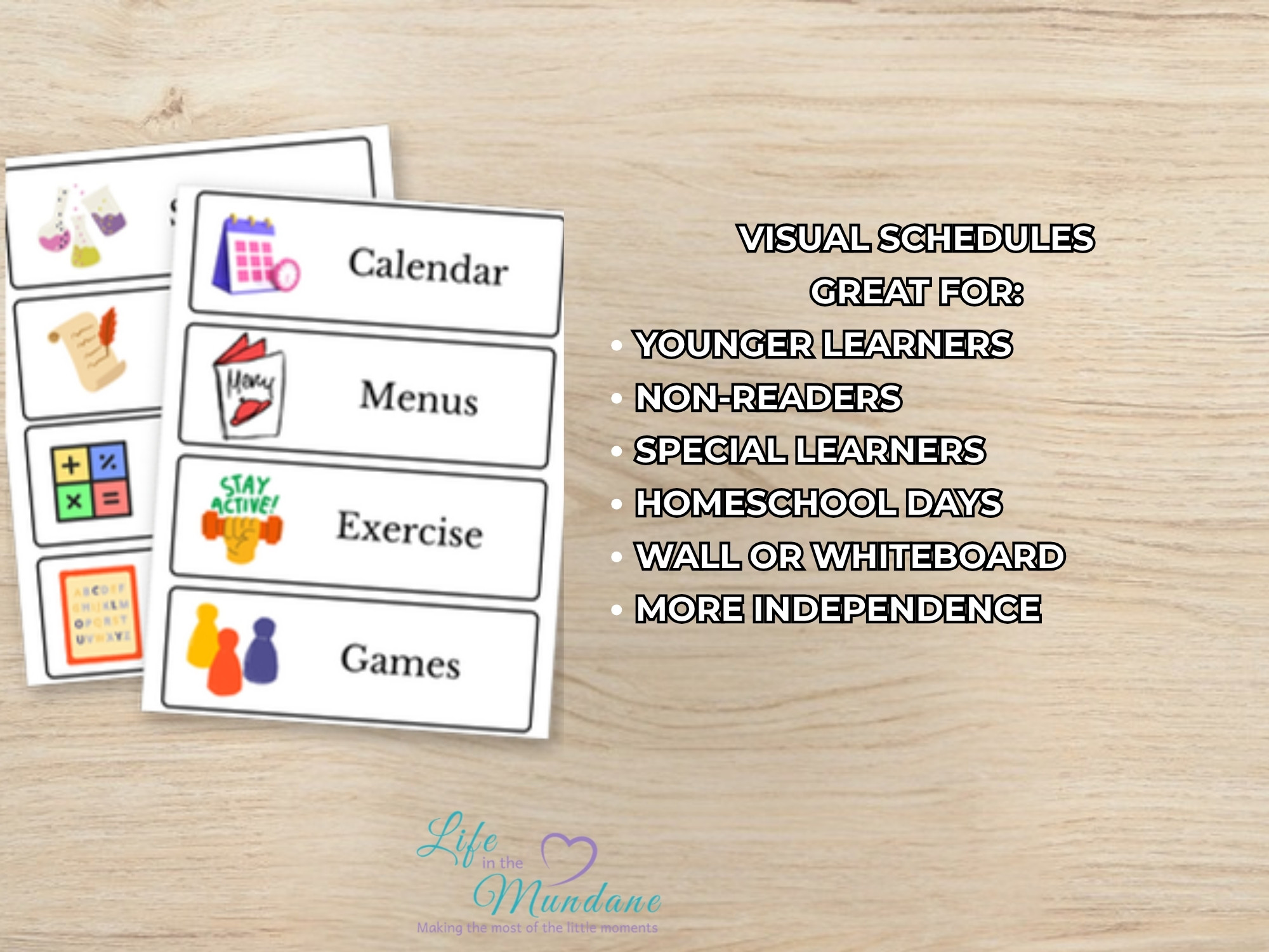 Large Visual Schedule printable - great for