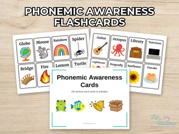 Phonemic Awareness Flashcards printable from Life in the Mundane