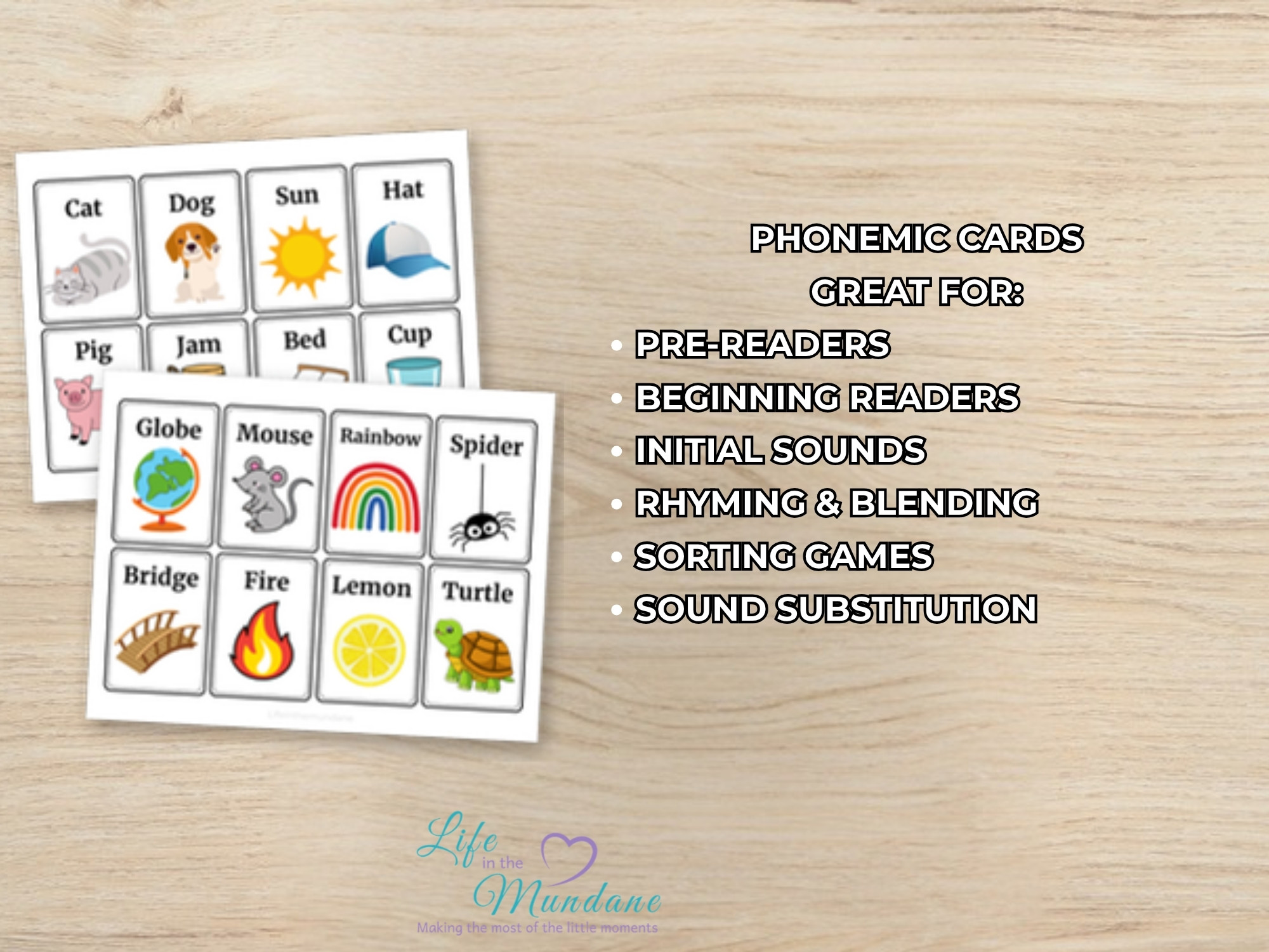 Phonemic Awareness printable - great for