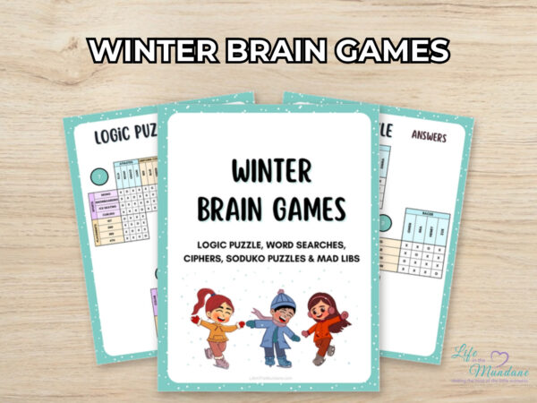 Winter Brain Games printable from Life in the Mundane