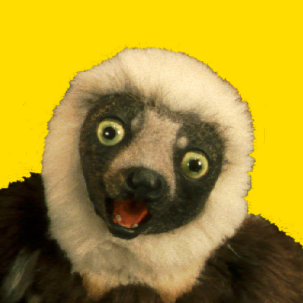 Zoboomafoo show image